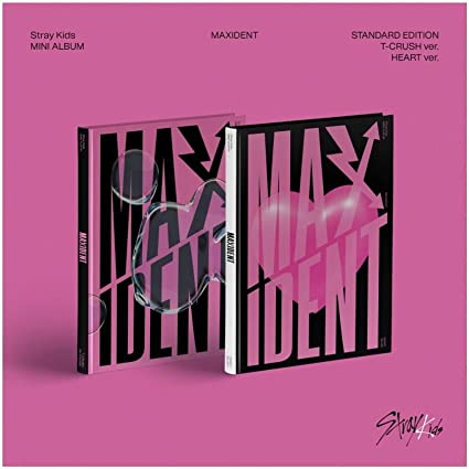 STRAY KIDS - MAXIDENT