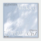 SEVENTEEN - ATTACCA